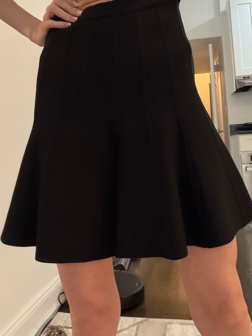 Herve Leger Black Circle Skirt